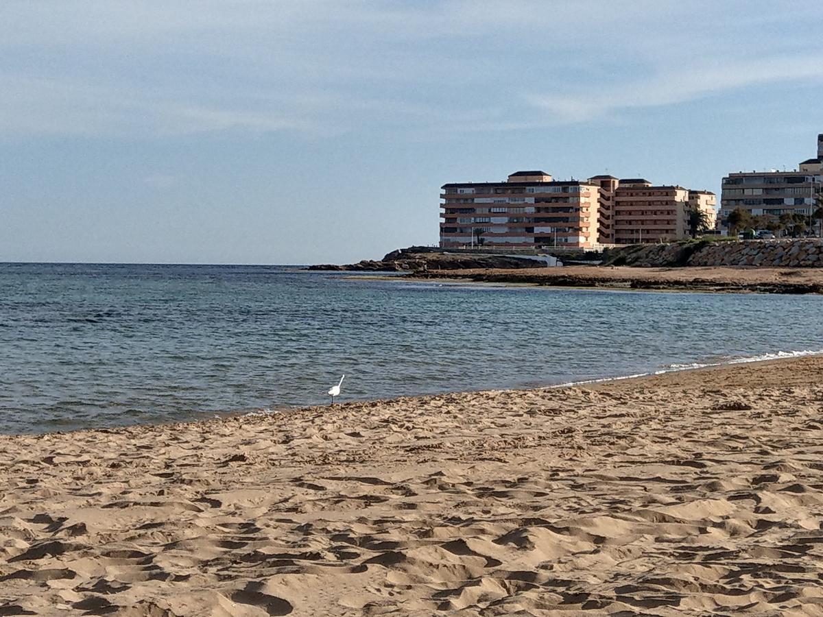Ferienwohnung Torrevieja Ngoại thất bức ảnh